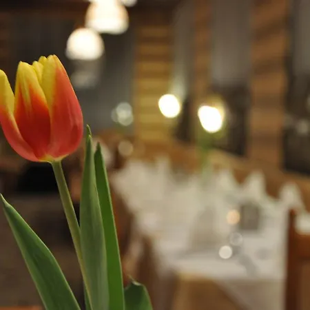 Hotell Gazauner Hof Sankt Gallenkirch